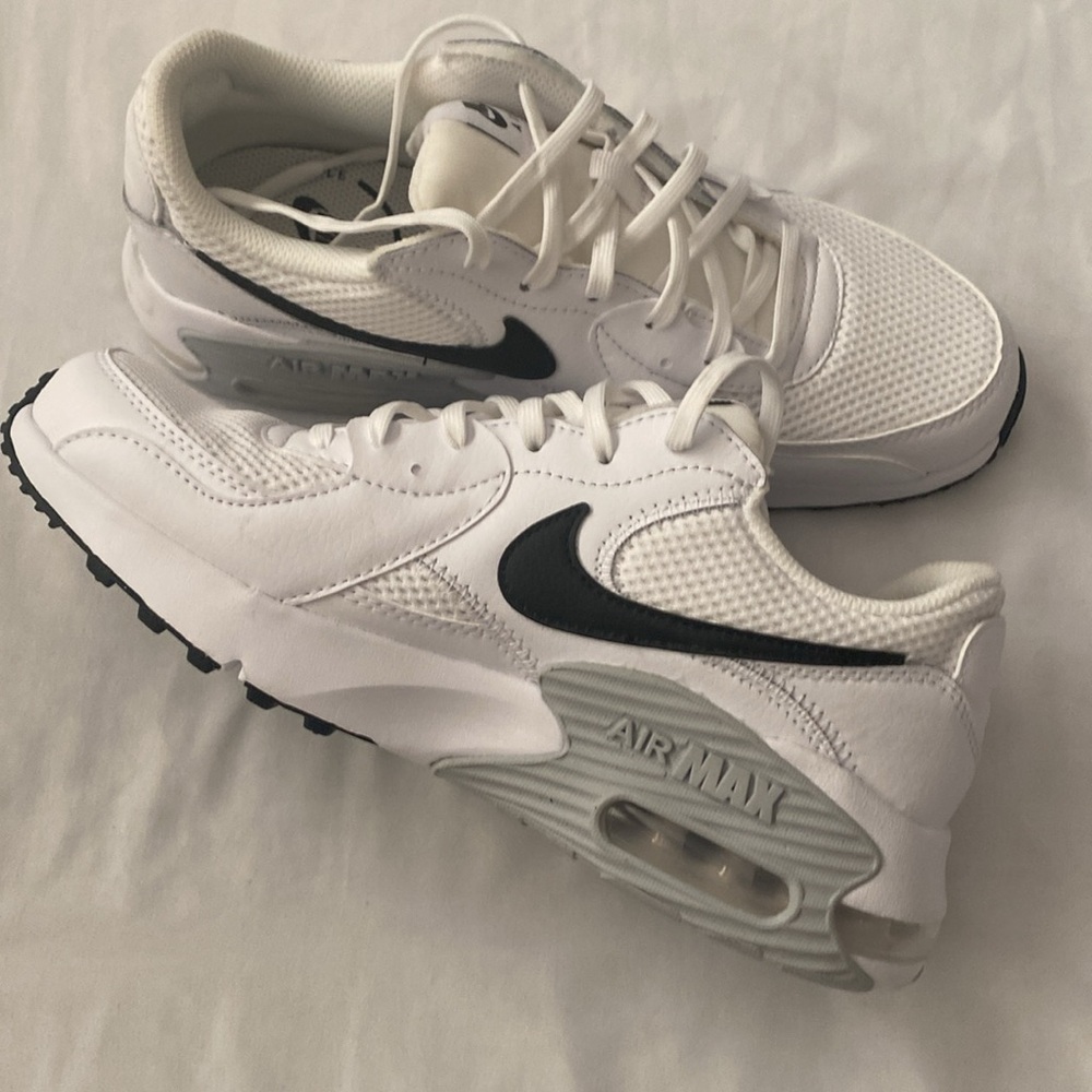 Nike Air Max Shoes